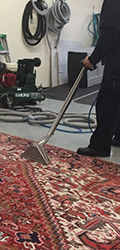 Area Rug Cleaning